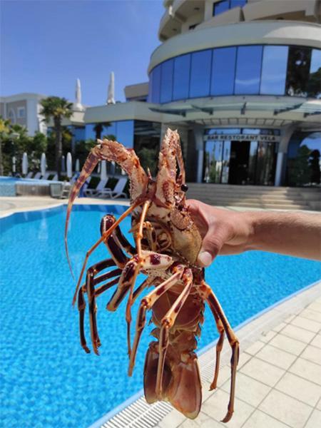 Vela Hotel Restaurant Golem  Ngoại thất bức ảnh
